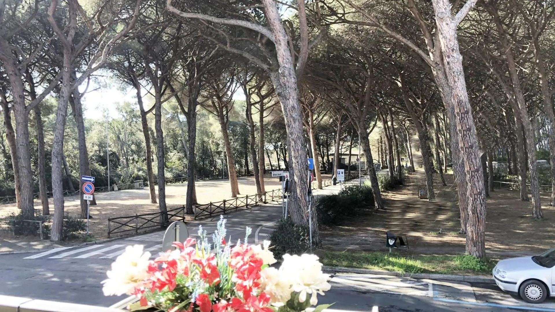 Appartamento Alice A Marina Di Cecina By Zoom In Earth 0*,  Italy